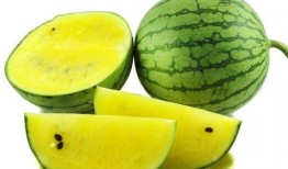 网红刘二萌吃瓜图片壁纸